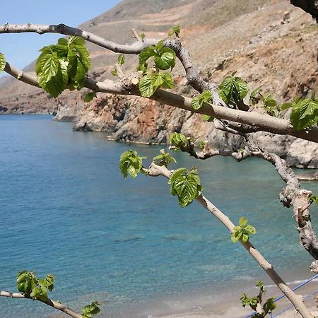 On The Beach Apartments Khora Sfakion Bagian luar foto