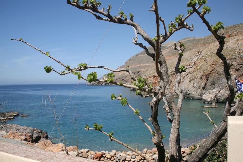 On The Beach Apartments Khora Sfakion Bagian luar foto